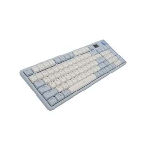 KLAVYE AIGO S99 RGB Mavi/Beyaz Mekanik RED Switch Kablosuz Us Layout