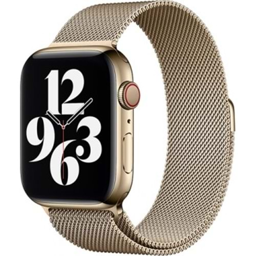 WIWU WATCHBAND FOR iWATCH 38/40mm GOLD