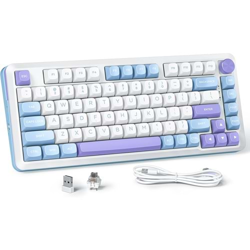 REDRAGON CYRUS PRO K681WBP-RGB-PRO GASKET WIRELESS RGB US LAYOUT
