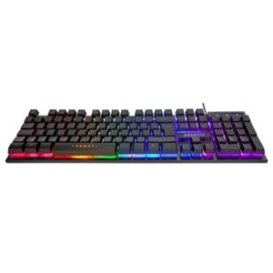 Klavye Everest KB-24 Siyah Rainbow Q Membrane